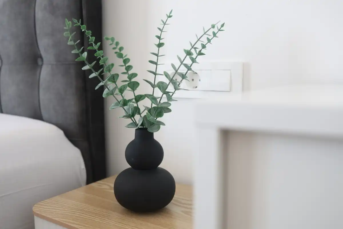 Villa Amara Zaton - Zadar, Dalmatia