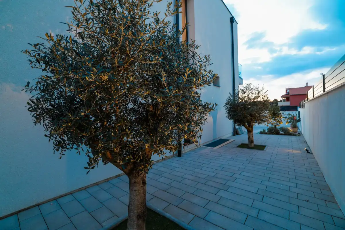 Villa Barbara Pakostane - Zadar, Dalmatia