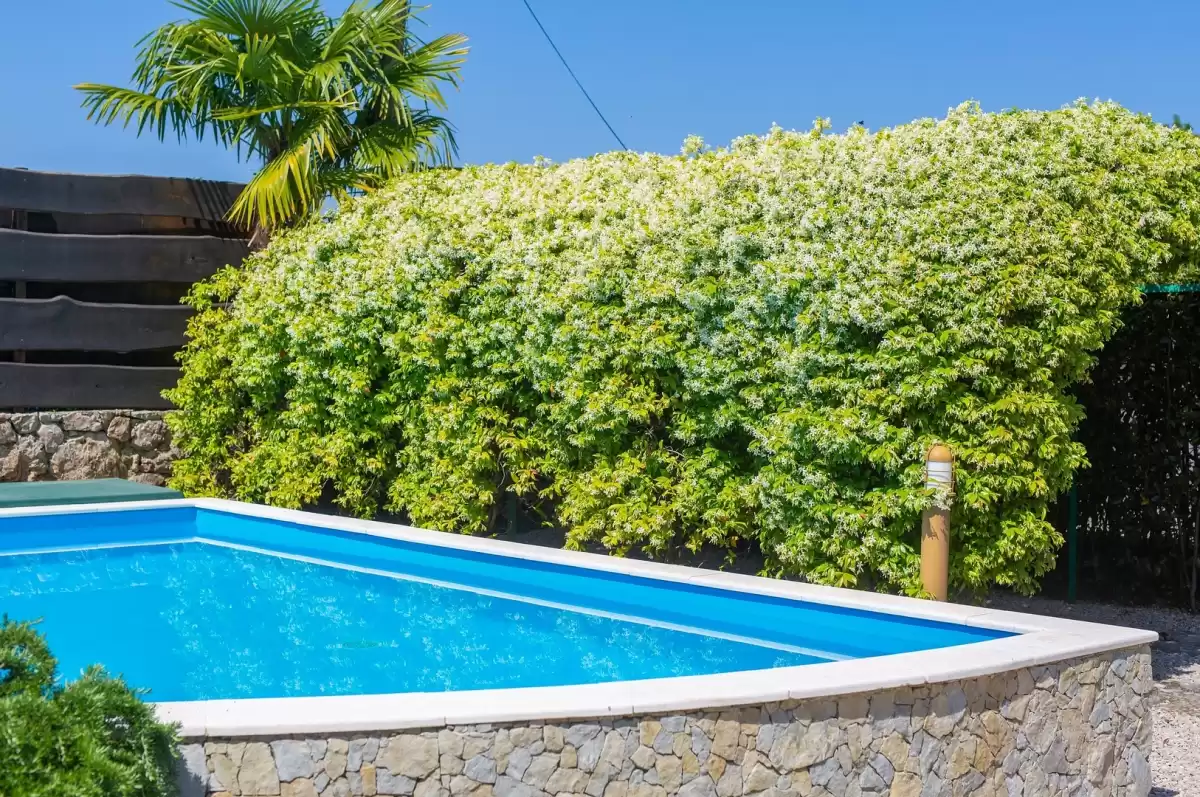 Vila Blue Dondola - Krk, Hrvatski otoci