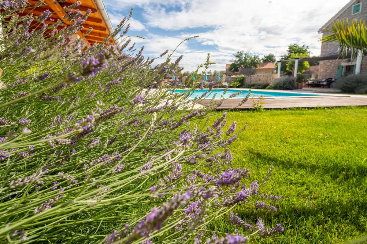 Villa Bozini Dvori - Zadar, Dalmatia