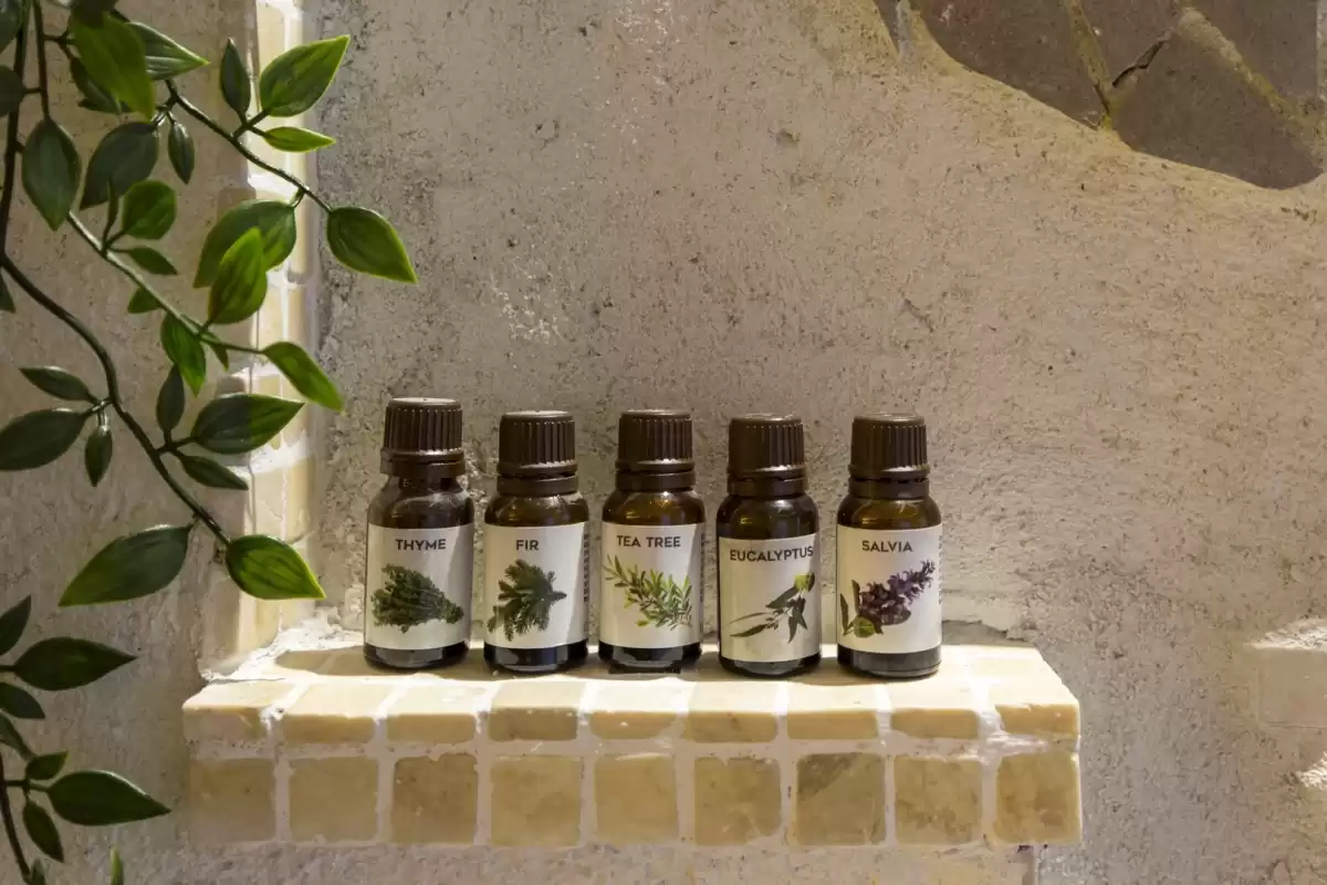 Villa Casta Diva - Labin, Istrien