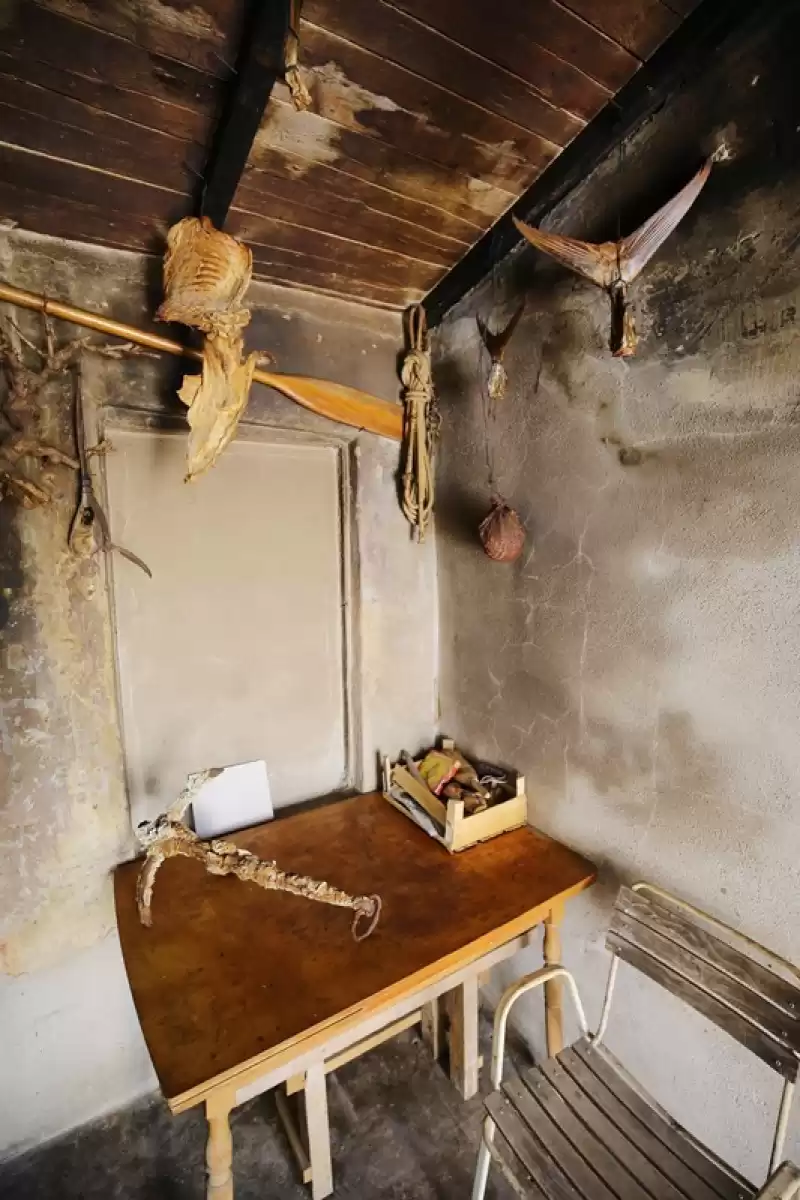 Villa Frane - Zadar, Dalmatien