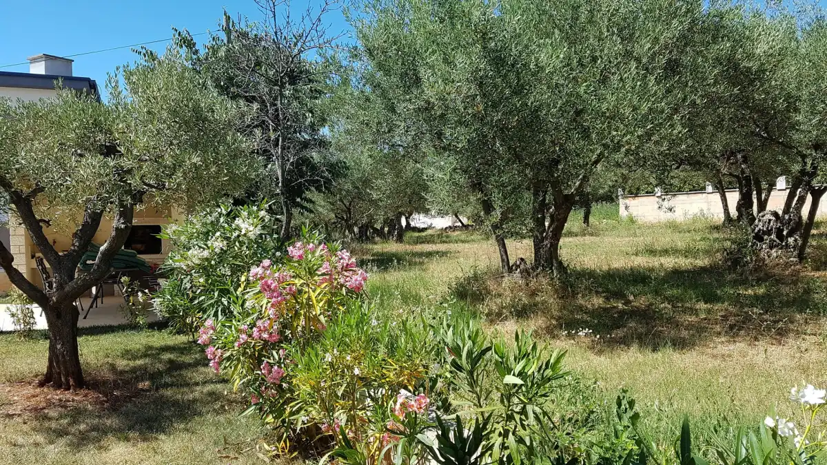 Villa Ginocchetti - Poreč, Istrien