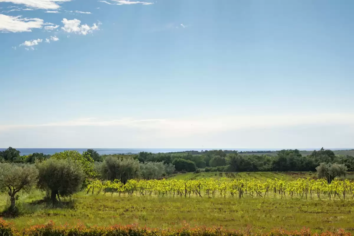 Villa Ivana - Poreč, Istrien