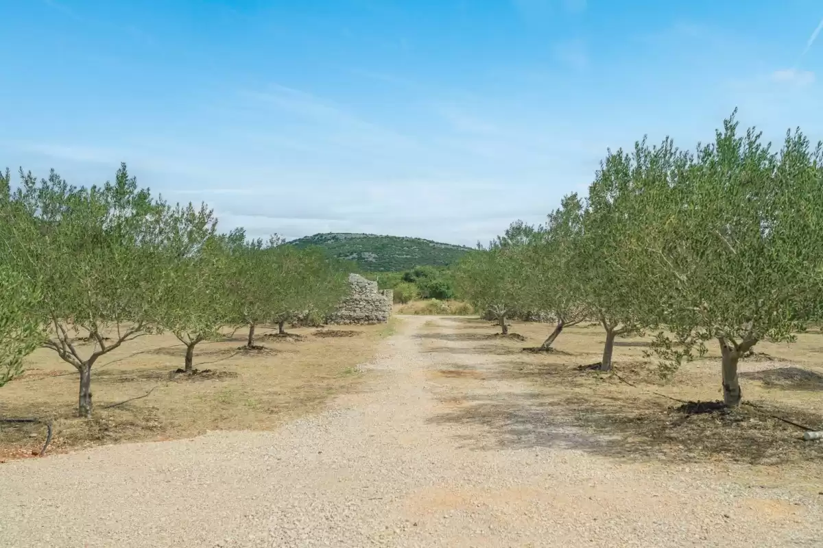 Villa Ivana Vodice - Sibenik, Dalmatia