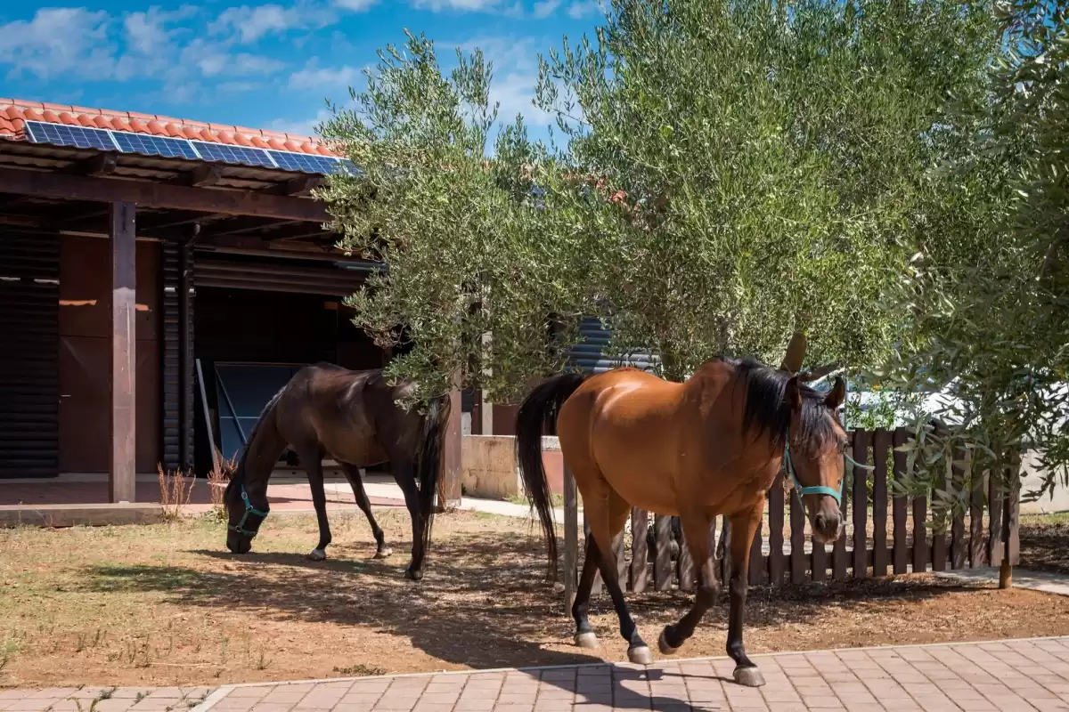 Villa Ivinj 1 - Sibenik, Dalmatien