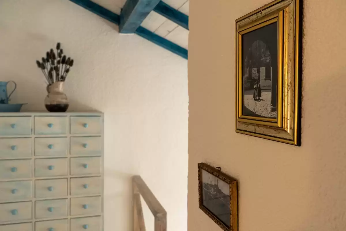 Vila Julijud - Pazin, Istra