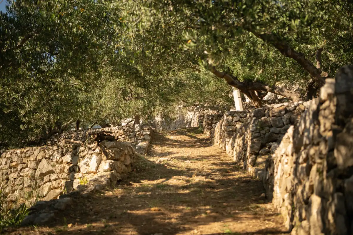 Villa Kuk Oaza - Split, Dalmatien