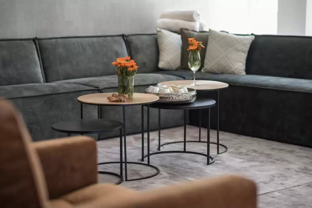 Vila LaDominika - Središnja Istra, Istra