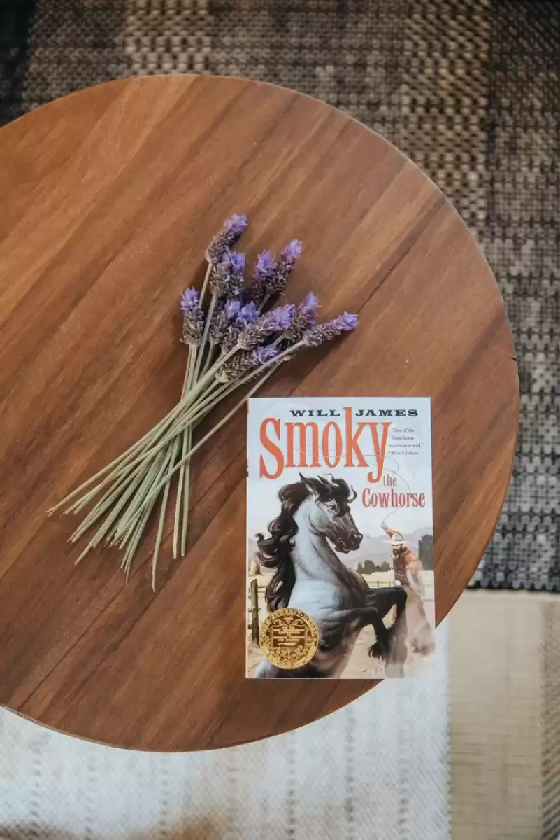 Villa Litica - Hvar, Islands