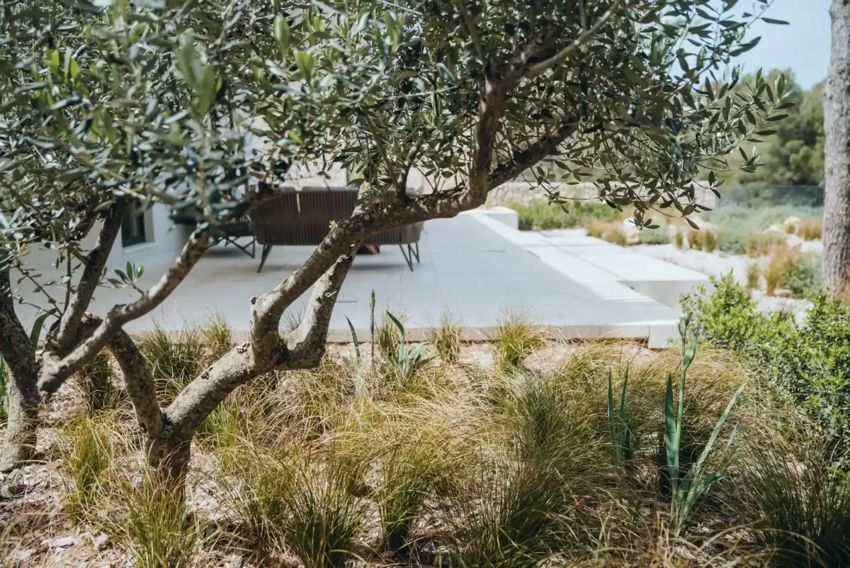 Villa Litica - Hvar, Islands