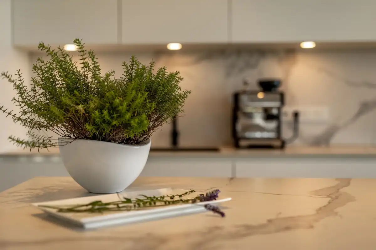 Vila Manatis - Krk, Hrvatski otoci