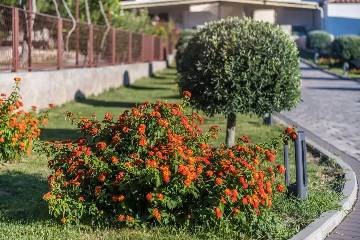 Villa Marko A1 - Zadar, Dalmatia