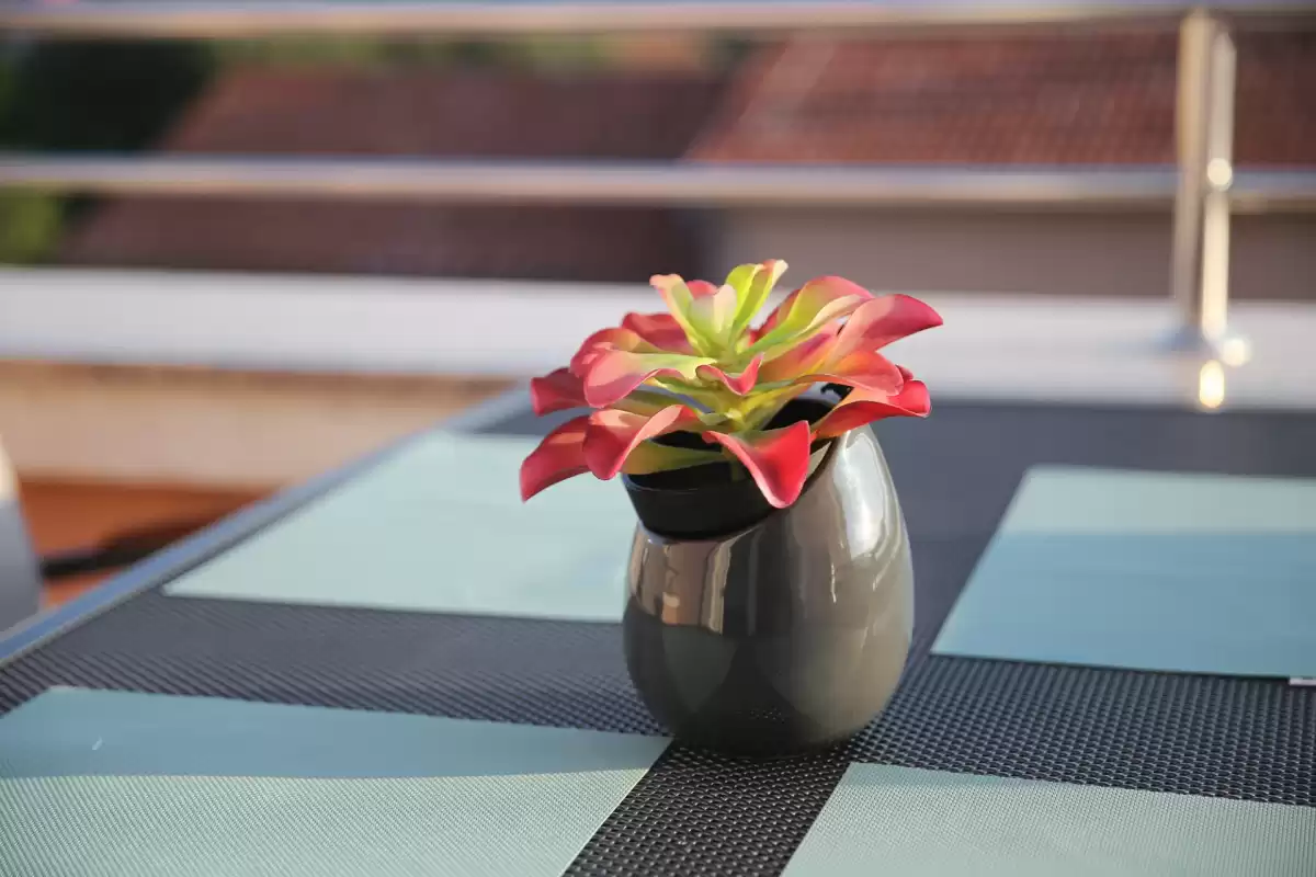 Villa Marko A4 - Zadar, Dalmatia