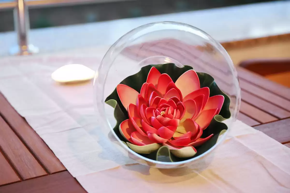 Vila Marko A6 - Zadar, Dalmacija