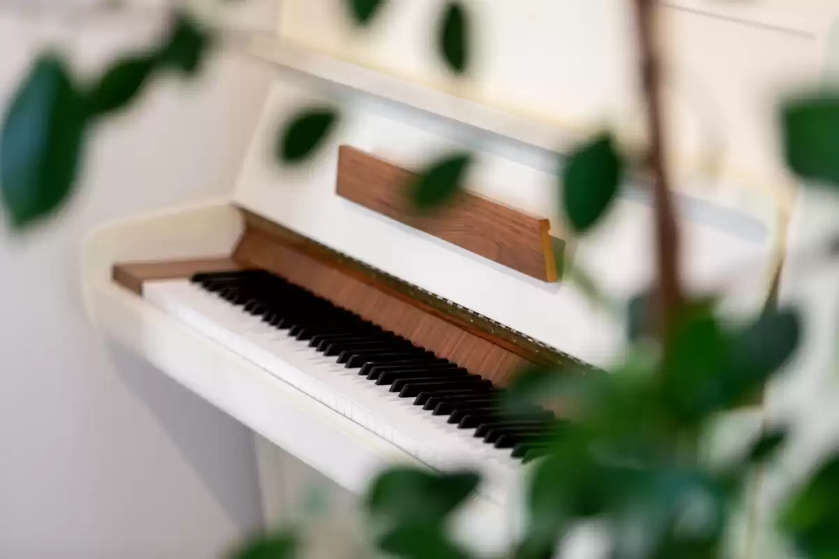 Villa Natanel - Brač, Islands