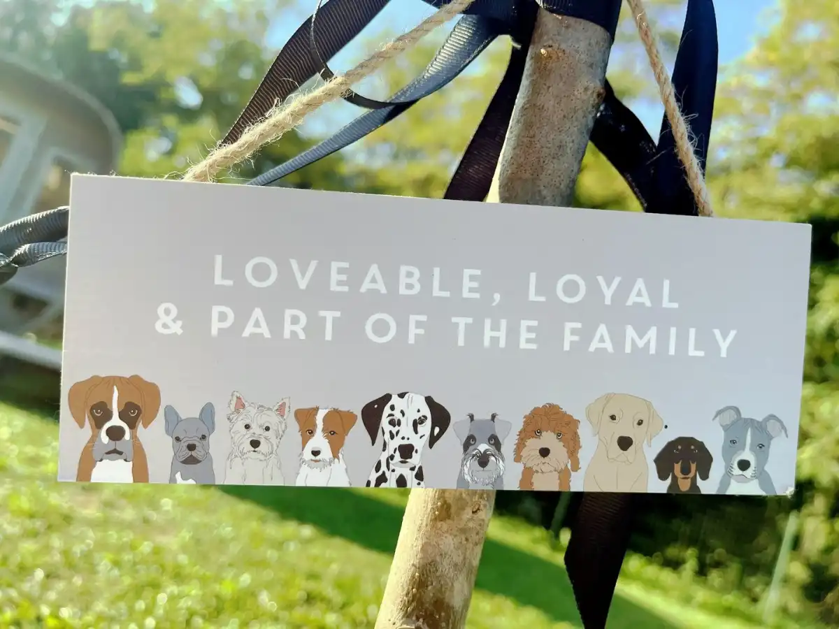 Villa Octava - Barban, Istria