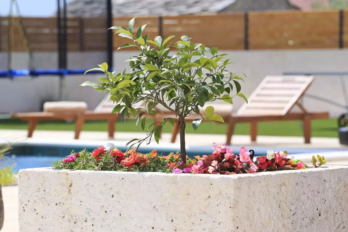 Villa Orkula - Zadar, Dalmatien