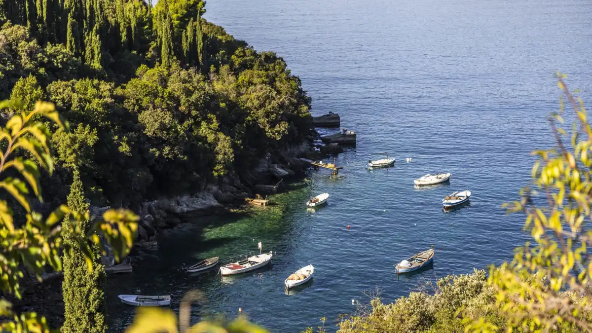 Villa Palma Molunat - Dubrovnik, Dalmatia