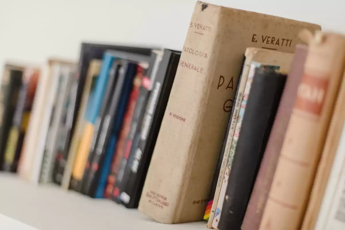 Villa Paulina - Dubrovnik, Dalmatia