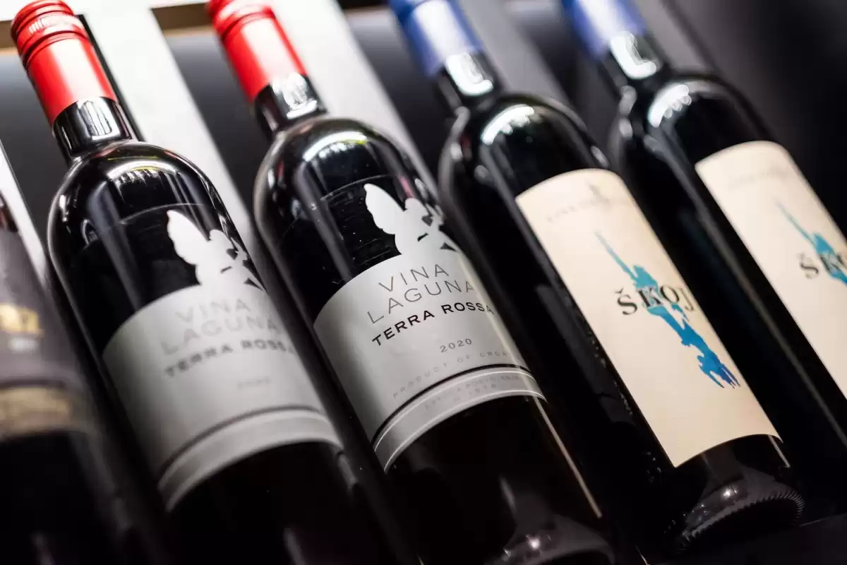 Villa Plant VI - Zadar, Dalmatia