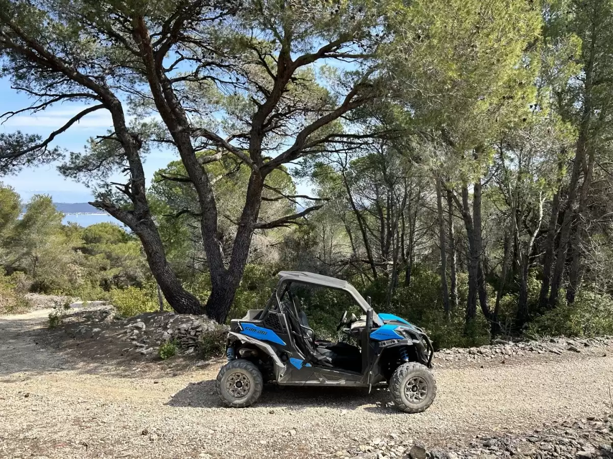 Villa Proversa - Pašman, Islands