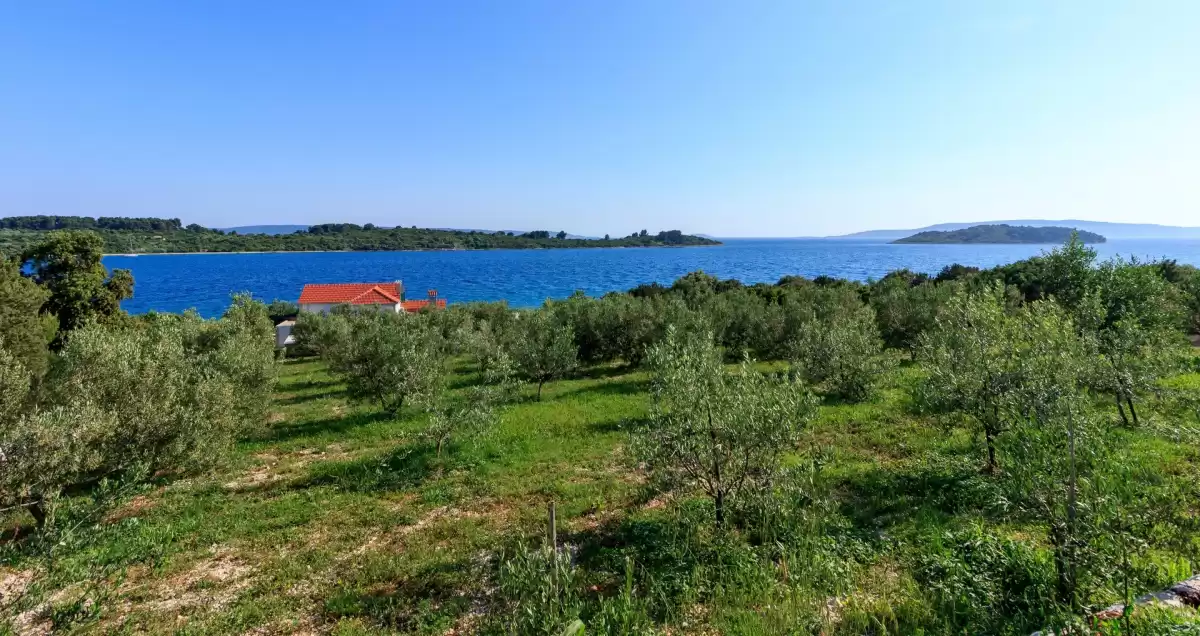 Villa Renata Ciovo - Split, Dalmatien