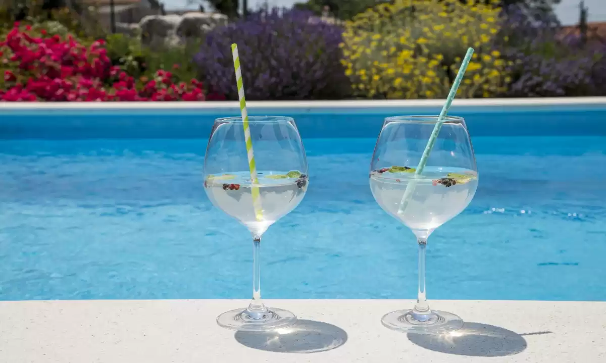 Villa Roza Dolinci - Central Istria, Istria