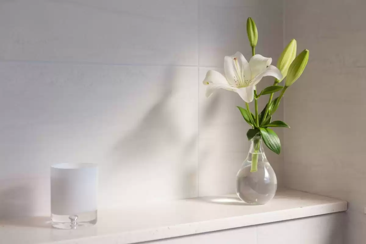 Villa Salt - Split, Dalmatia