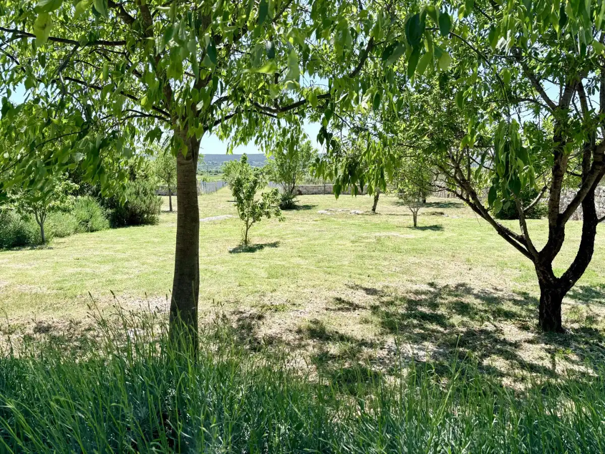 Villa Stone Pearl - Zadar, Dalmatia