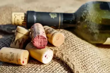 The Best Wines in Istria