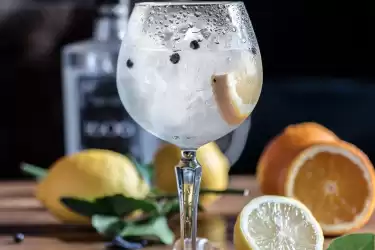 Croatian Gins competing with World Gin Brands