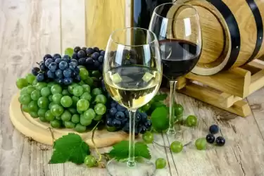 The Best Wines of Dalmatia