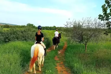 Unicorn Stable Škabrnja