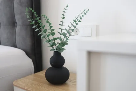 Villa Amara Zaton - Zadar, Dalmatia