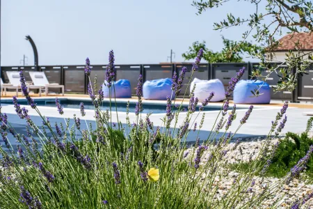 Vila AMore - Zadar, Dalmacija