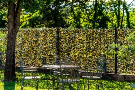 Vila Antea - Barban, Istra