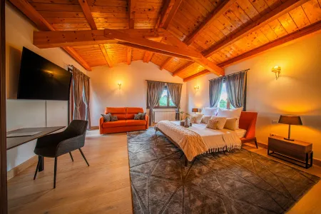 Vila Antea - Barban, Istra