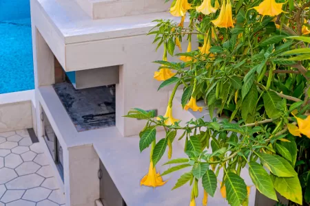 Vila Casa Blanca - Brač, Hrvatski otoci