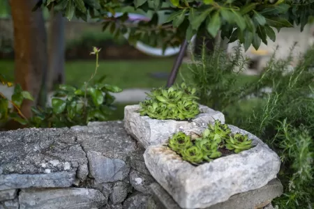 Villa Daja - Sibenik, Dalmatia