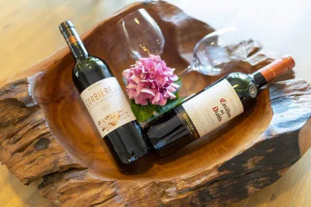 Vila David Rab - Rab, Hrvatski otoci