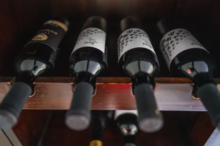 Villa Franica - Dubrovnik, Dalmatien