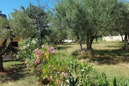 Vila Ginocchetti - Poreč, Istra