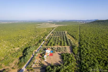 Villa Grandfather's House - Zadar, Dalmatia