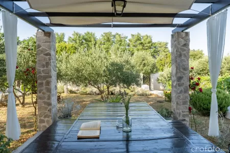 Villa Grandfather's House - Zadar, Dalmatia