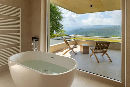 Villa Immortella - Labin, Istria
