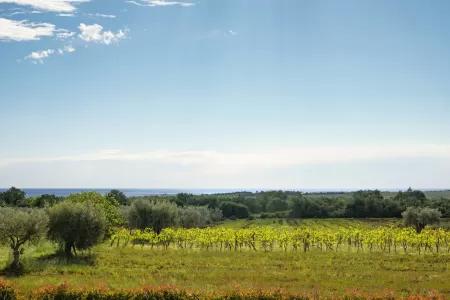 Villa Ivana - Poreč, Istrien