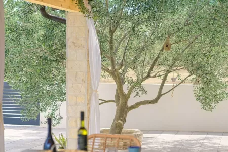 Villa Ivana Vodice - Sibenik, Dalmatia