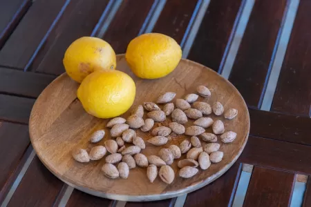 Villa Jerolim - Zadar, Dalmatia