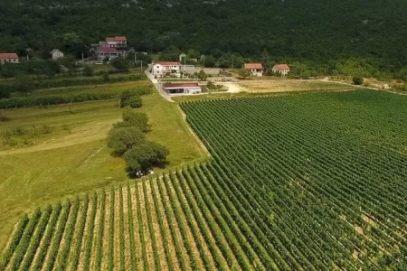 Villa Krolo & Wine - Split, Dalmatia